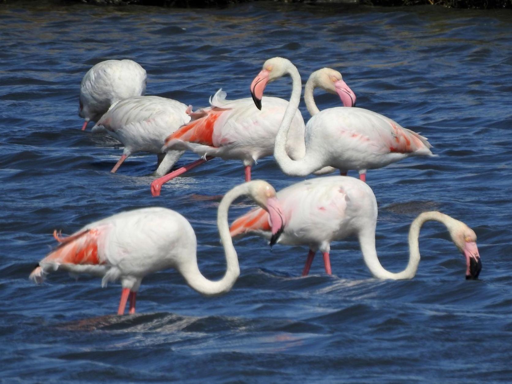 Vila Natura Barreiro  Dış mekan fotoğraf