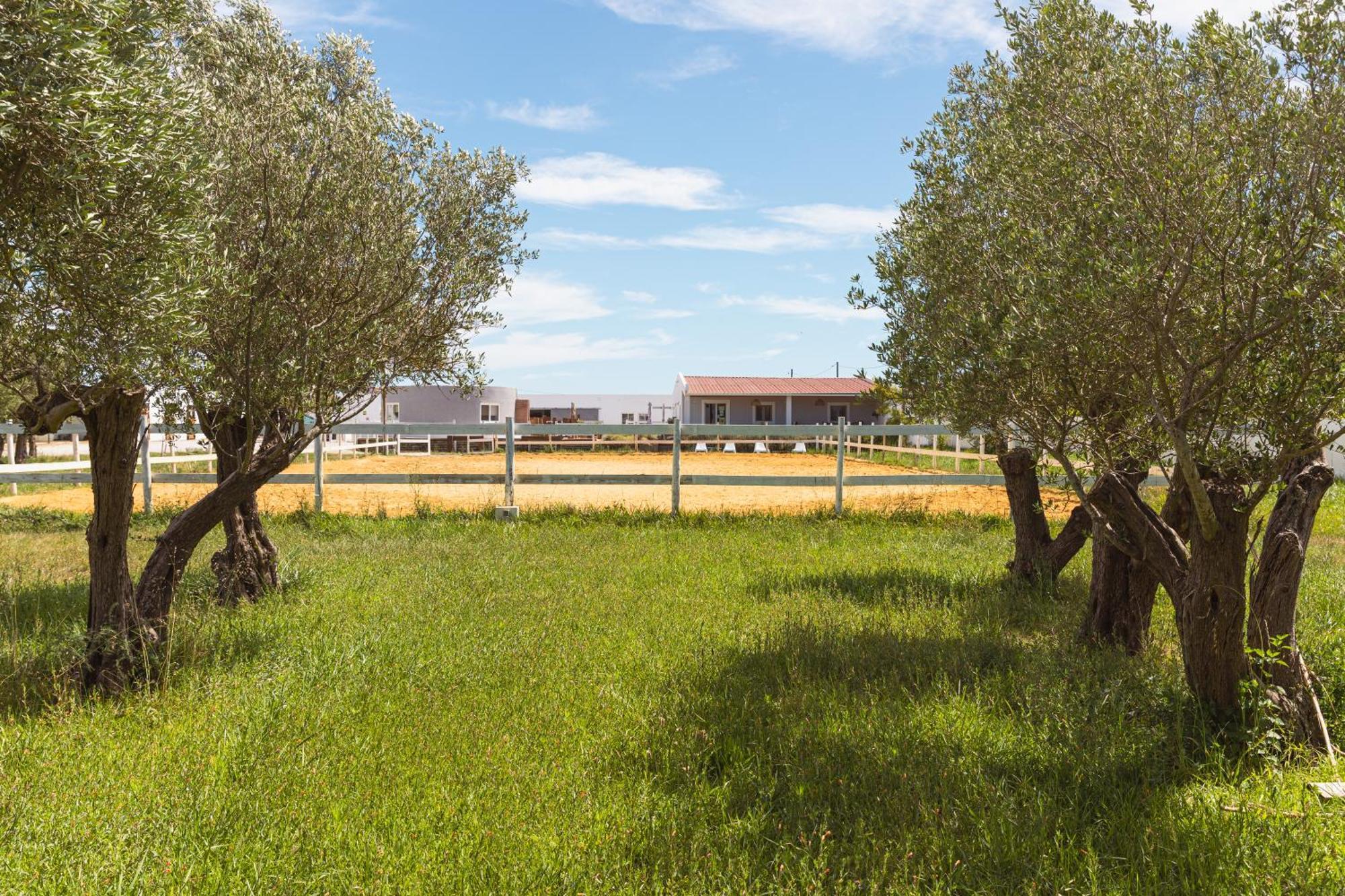 Vila Natura Barreiro  Dış mekan fotoğraf